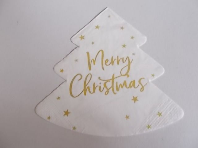 szalvta: PID34759.JPG