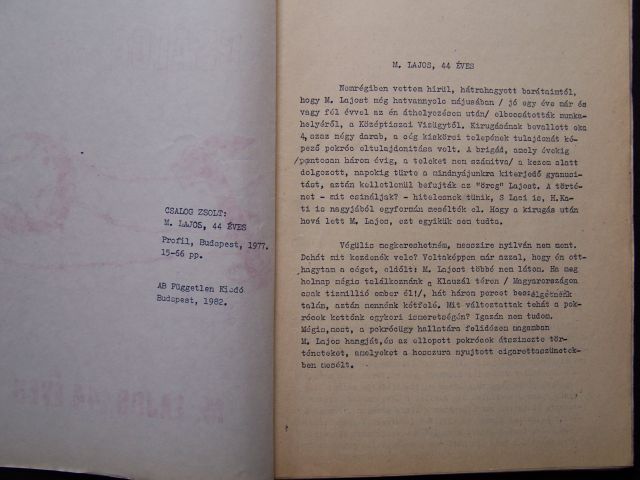 Csalog Zsolt: M. Lajos 44 éves