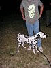 PICT0333.JPG