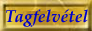 tagfelvétel