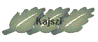 Kajszi