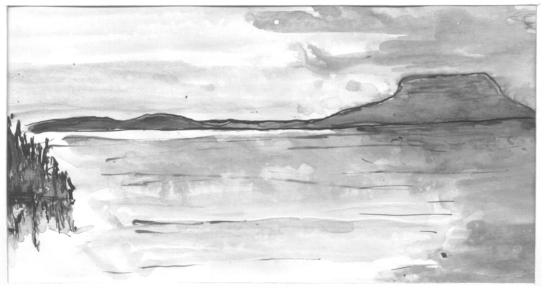 111A.jpg (60335 bytes)