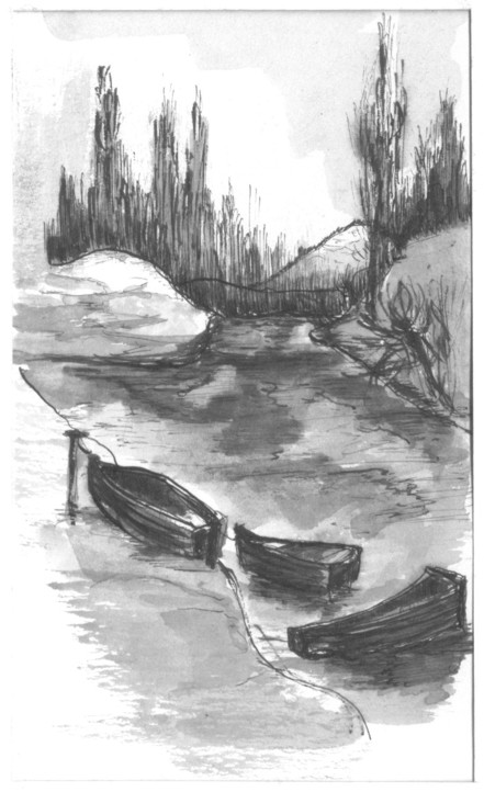 113A.jpg (74857 bytes)