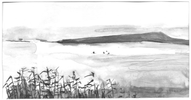 114A.jpg (39478 bytes)