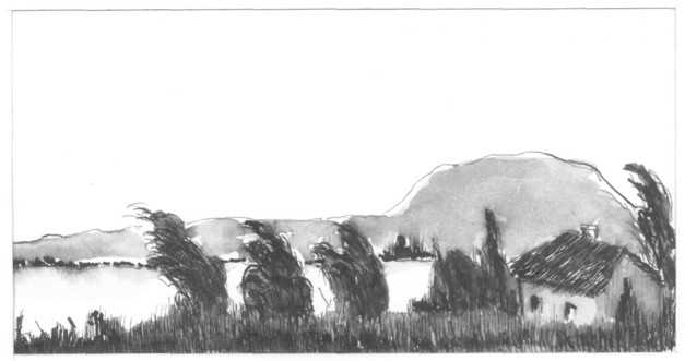 115A.jpg (34363 bytes)