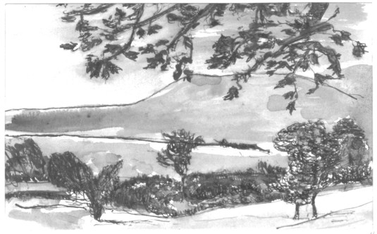 120A.jpg (54397 bytes)