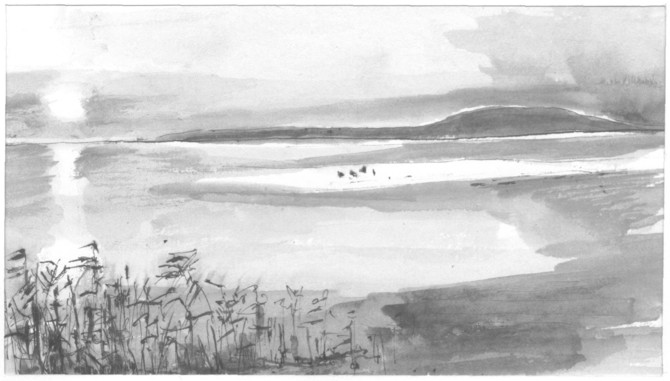 121A.jpg (52257 bytes)