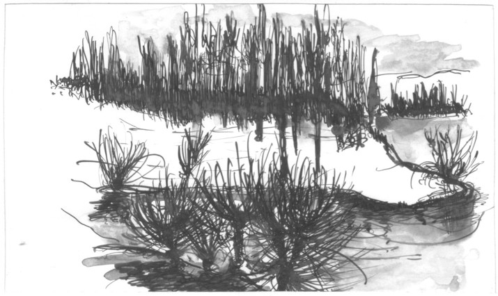 128A.jpg (85590 bytes)