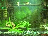 akvrium