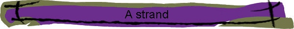 A strand