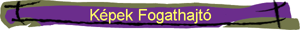 K�pek Fogathajt�