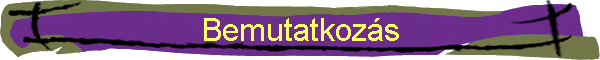 Bemutatkoz�s