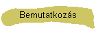 Bemutatkoz�s