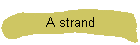 A strand