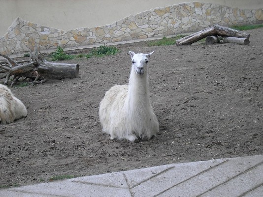 2009.aug.2+debreceni 036.jpg