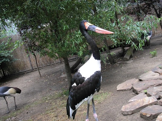 2009.aug.2+debreceni 040.jpg