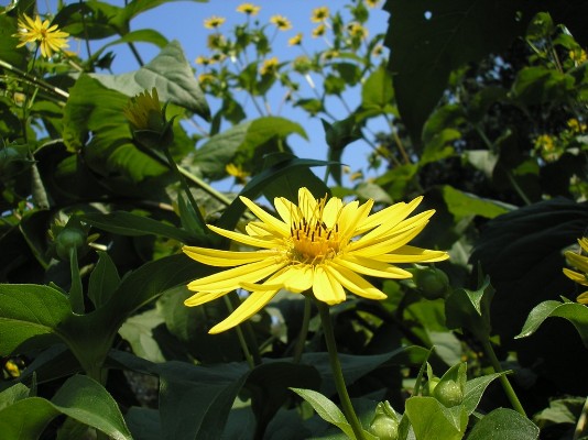 2009.aug.2+debreceni 058.jpg