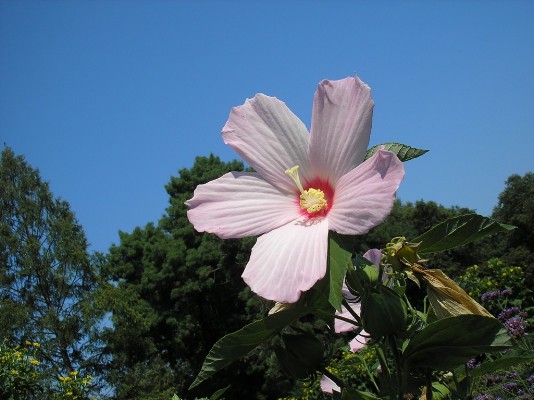 2009.aug.2+debreceni 062.jpg