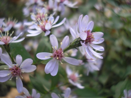 01d9d5990d244561a9c7f25b60ceae0d.jpg