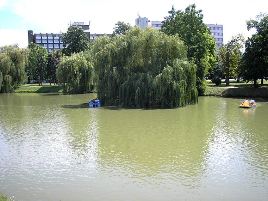 P8100121.jpg