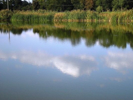 P9300132.jpg