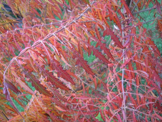 PA110088.jpg