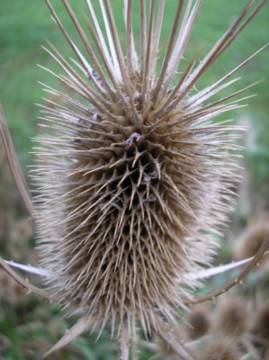 PA110094.jpg