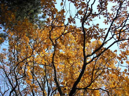 PB030076.jpg