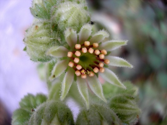 P6290111.jpg
