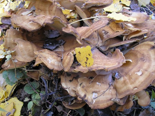 PB030099.jpg