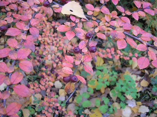 PB030105.jpg