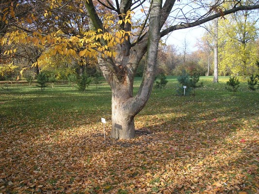PB030124.jpg