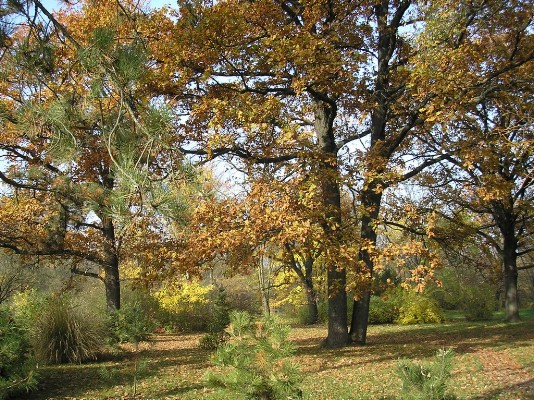 PB030127.jpg