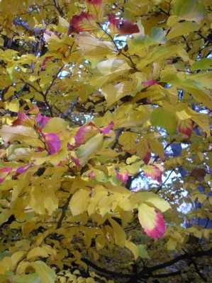 PB030140.jpg