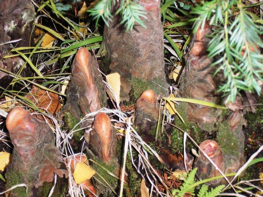 PB030142.jpg