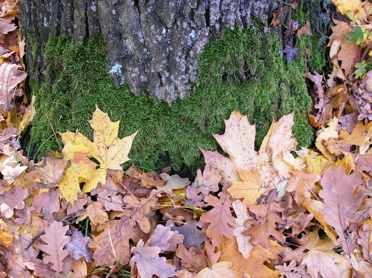PB030168.jpg