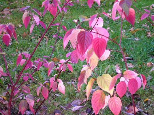 PB030176.jpg