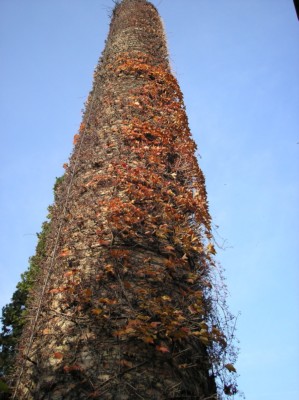 PB030179.jpg