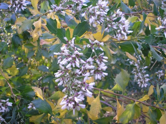 PB030254.jpg