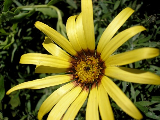 P7090010.jpg