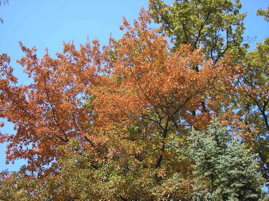 PA120014.jpg