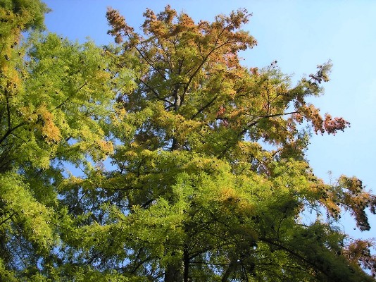 PA120083.jpg