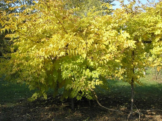 PA120150.jpg