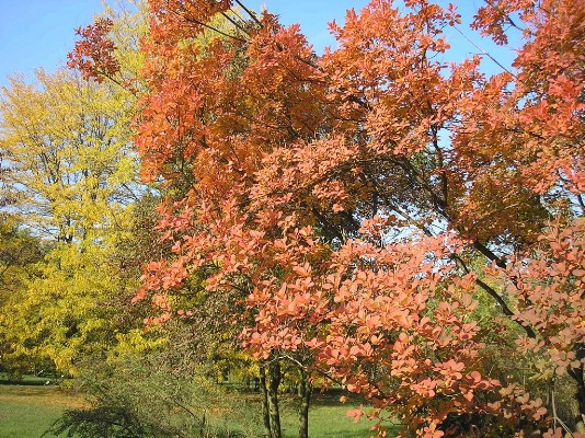 PA120163.jpg