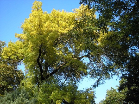 PA120252.jpg
