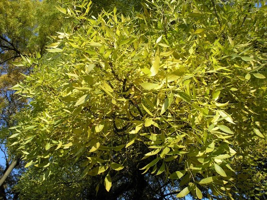 PA120255.jpg