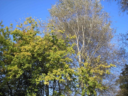 PA120273.jpg
