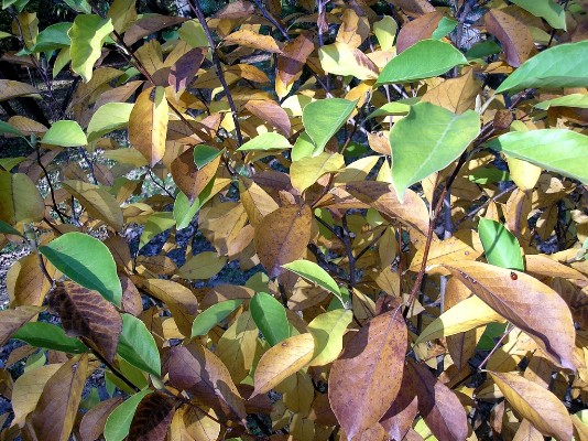 PA120277.jpg
