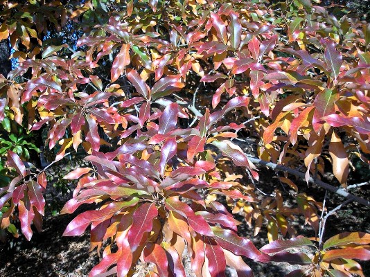 PA120280.jpg