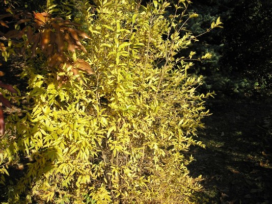 PA120282.jpg